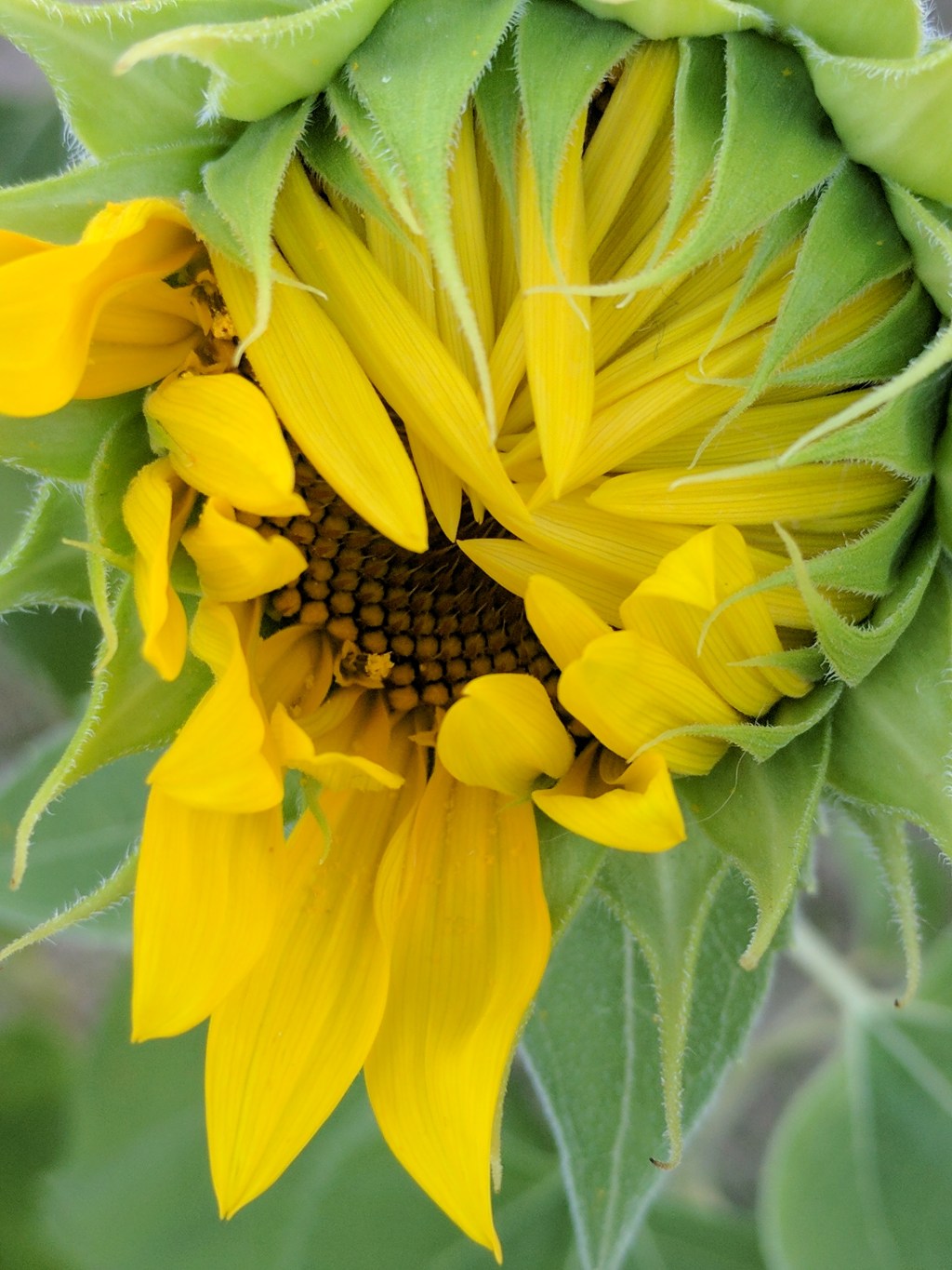 Well, Here We&nbsp;Are